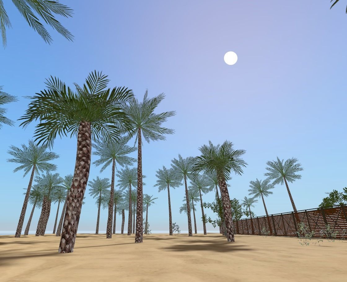 My Island In Tahiti Low-poly 3D model_45