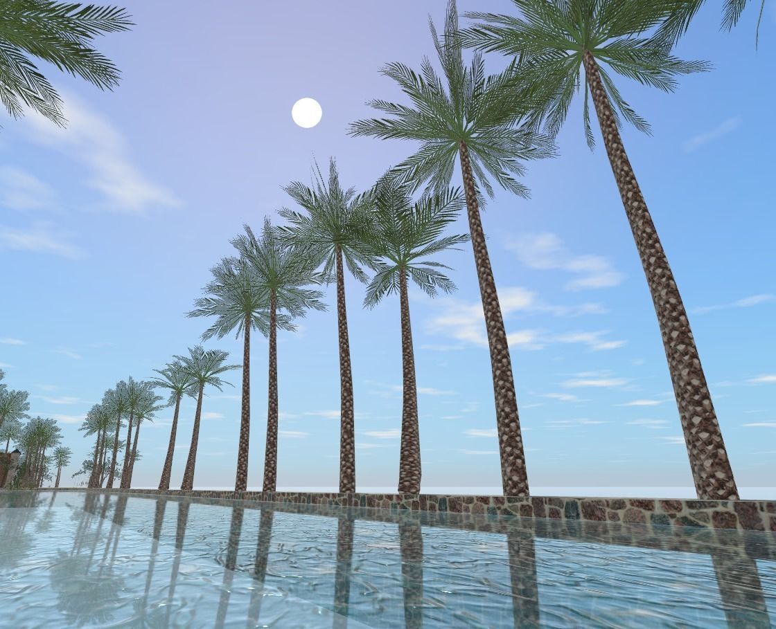 My Island In Tahiti Low-poly 3D model_56