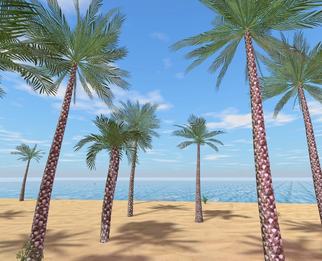 My Island In Tahiti Low-poly 3D model_55