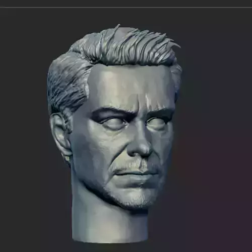 Tony Stark Robert Downey Jr head sculpt for 3d printing