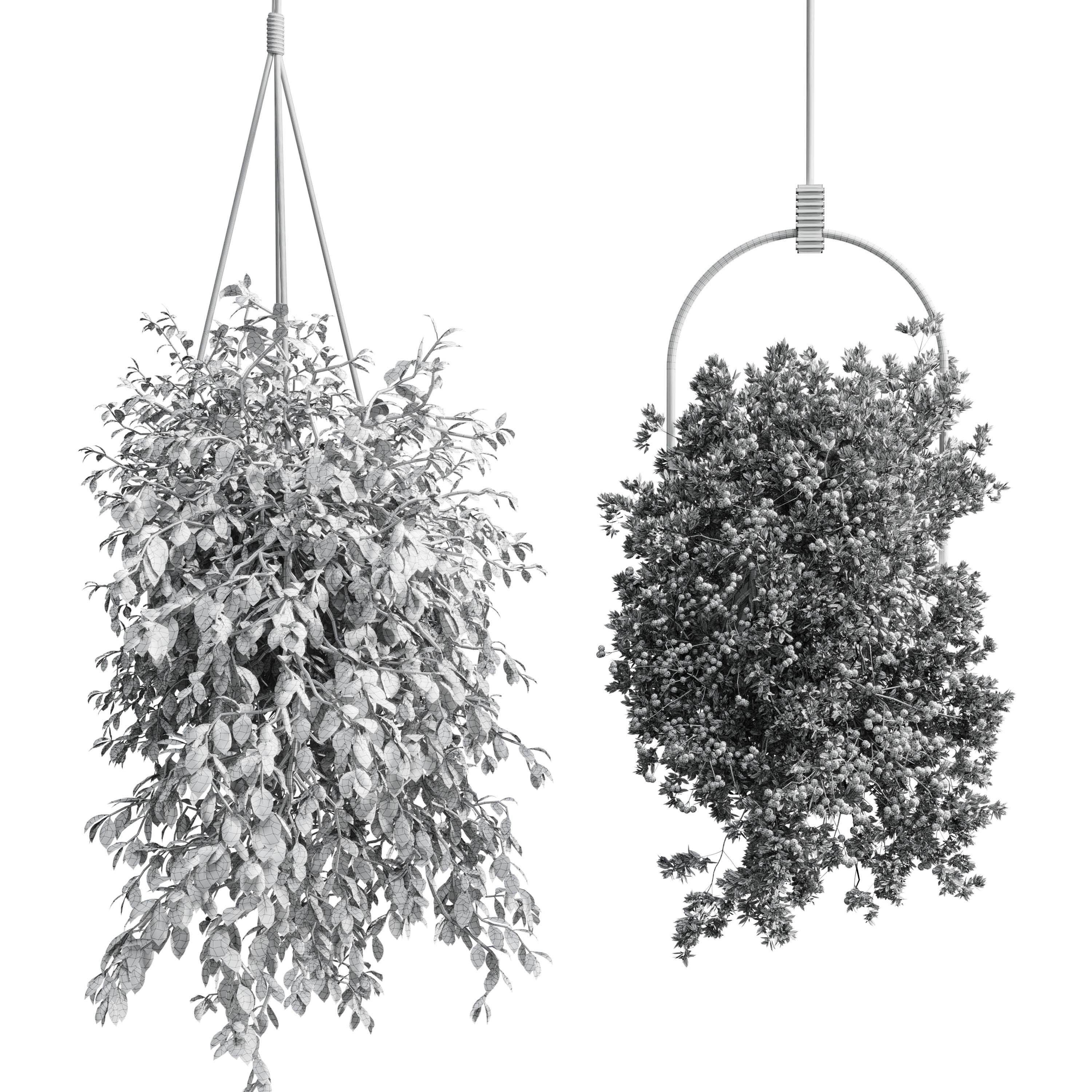 Hanging plants - indoor plant set 410 Low-poly 3D model_3