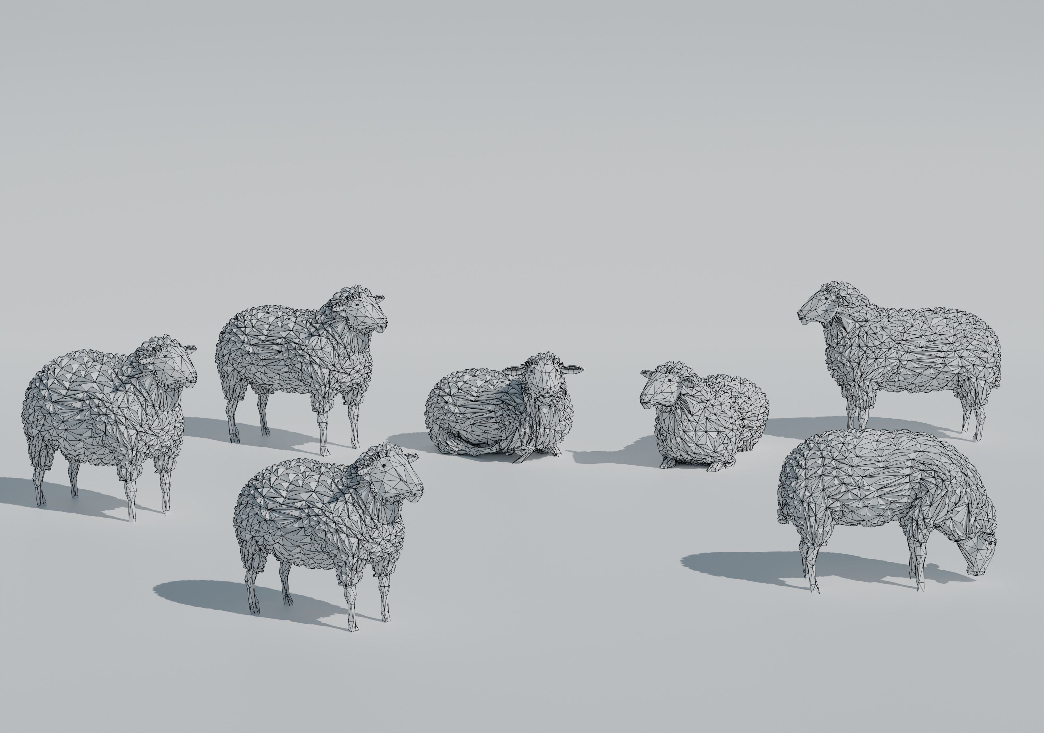 low poly sheep pack Low-poly 3D model_9