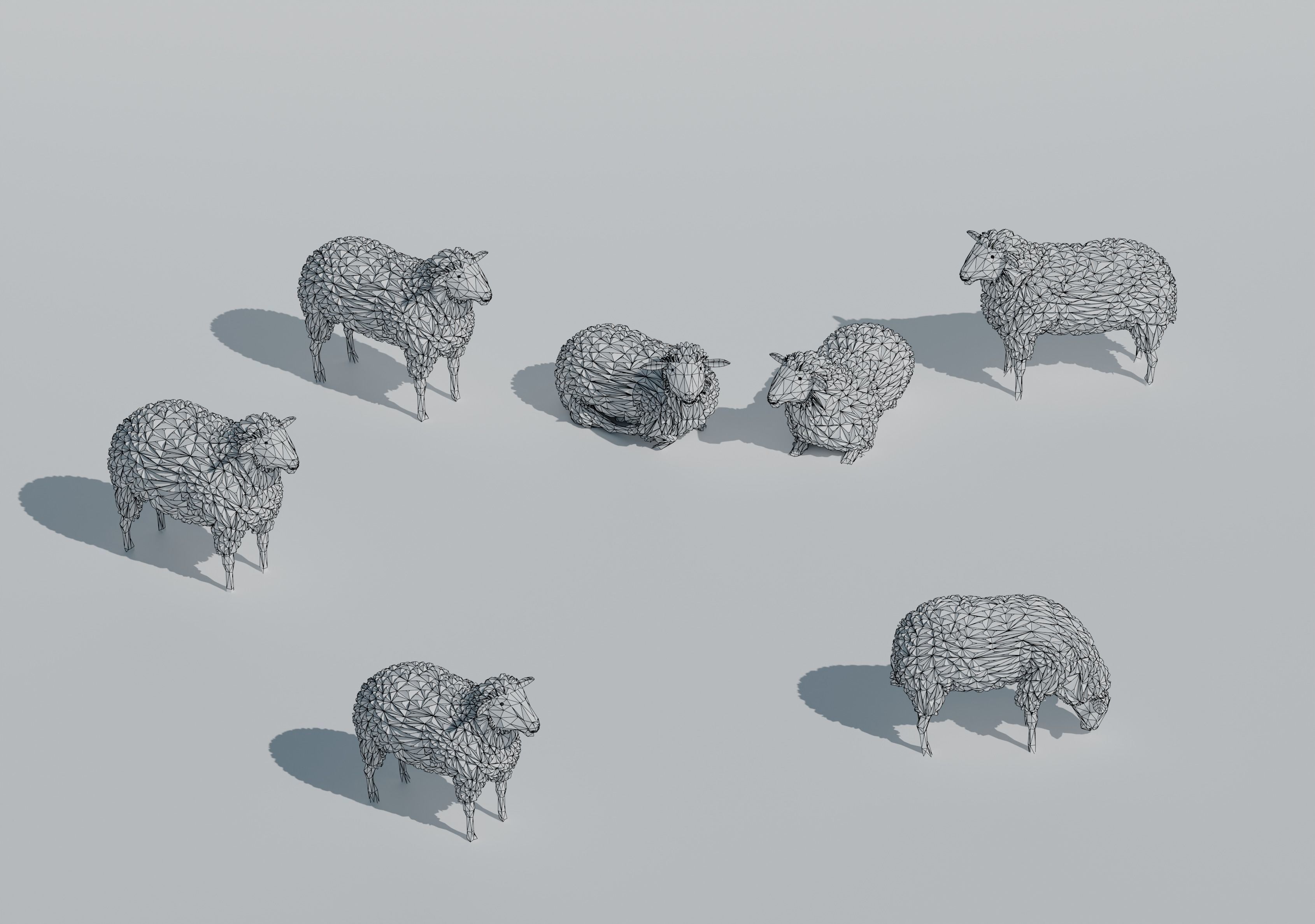 low poly sheep pack Low-poly 3D model_4