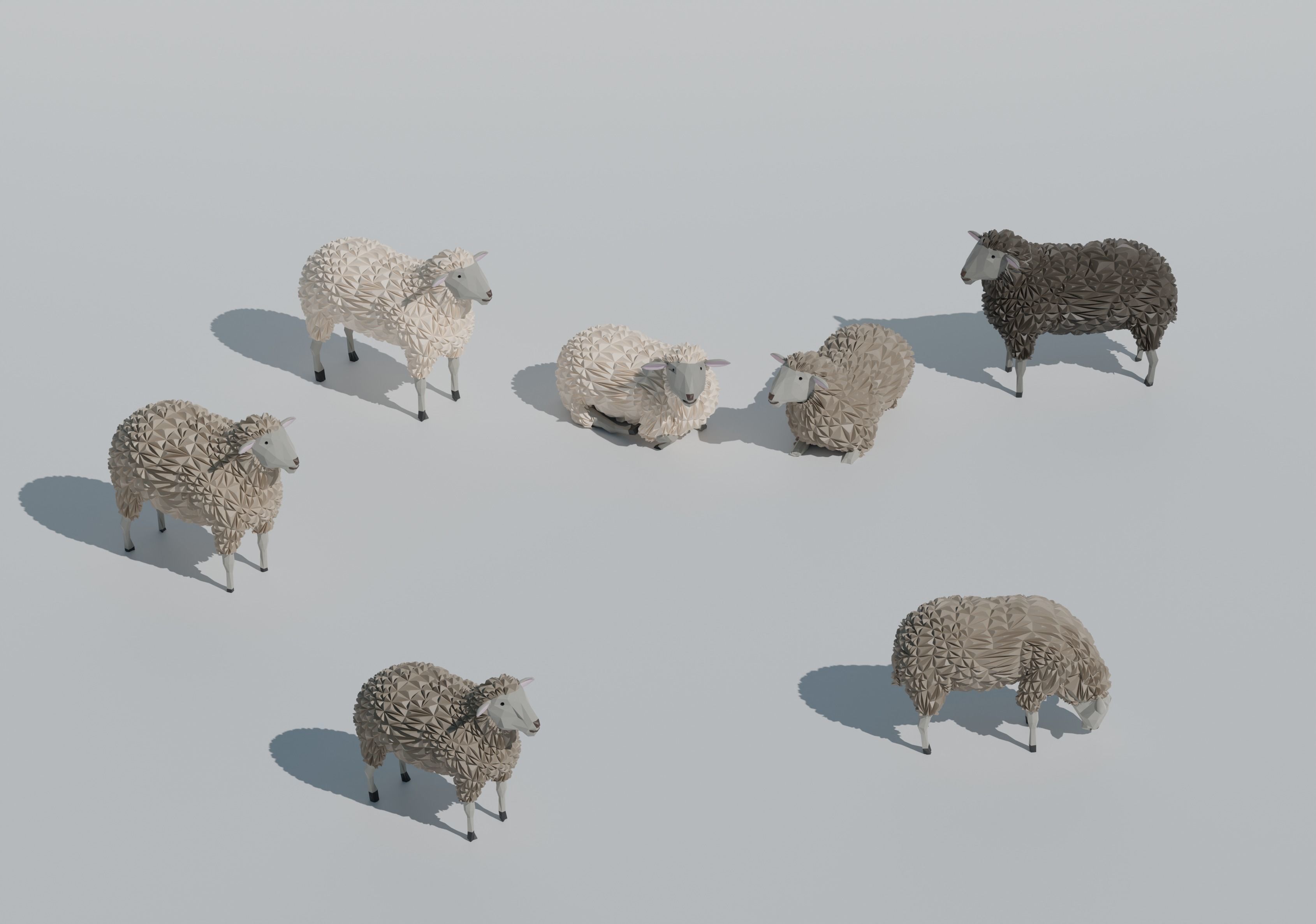 low poly sheep pack Low-poly 3D model_5