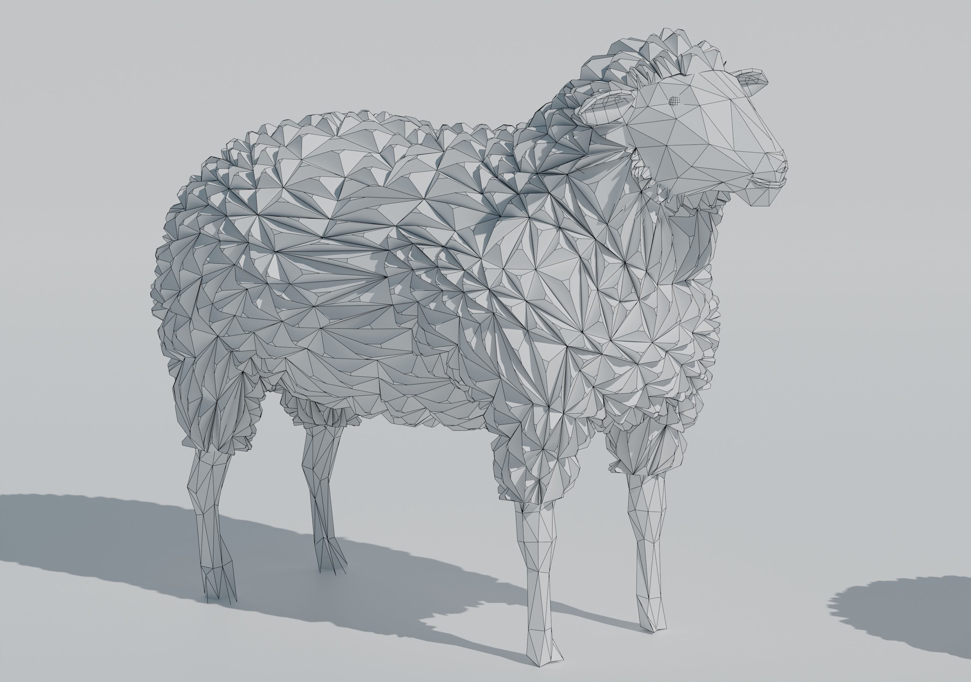 low poly sheep pack Low-poly 3D model_8