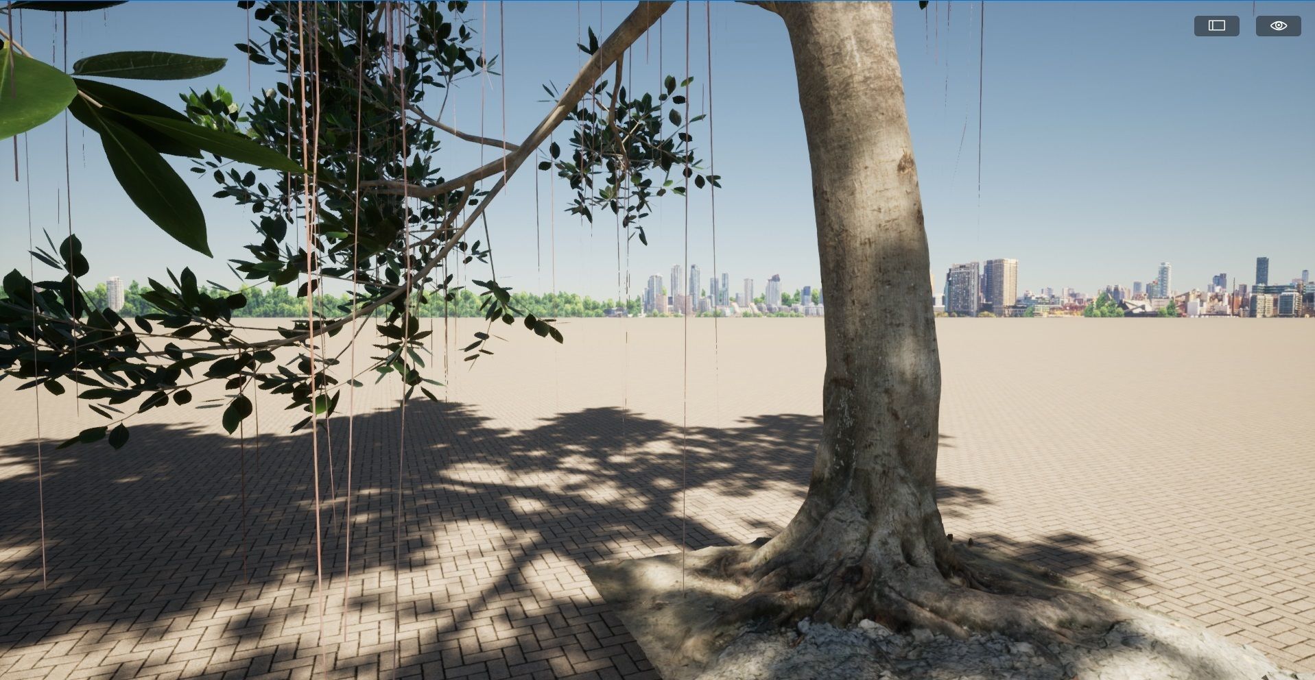 Ficus microcarpa- Malayan Banyan 3D model_3