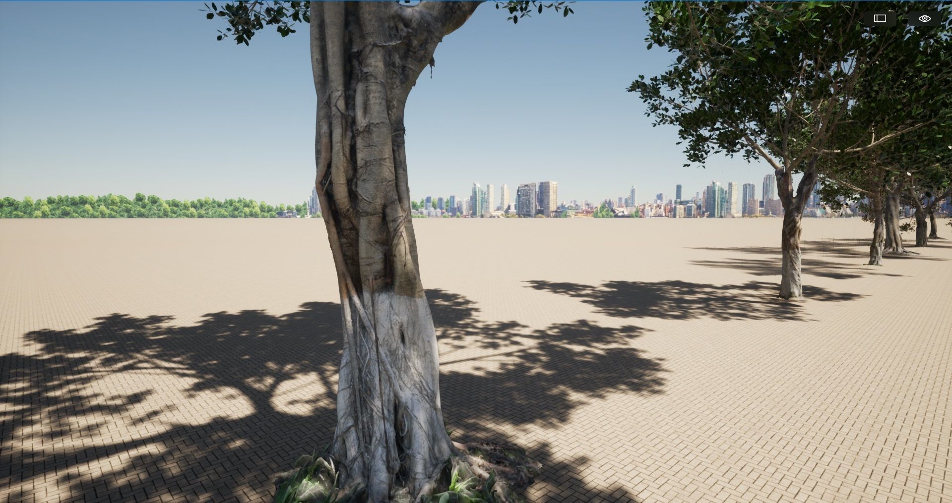 Ficus microcarpa- Malayan Banyan 3D model_2