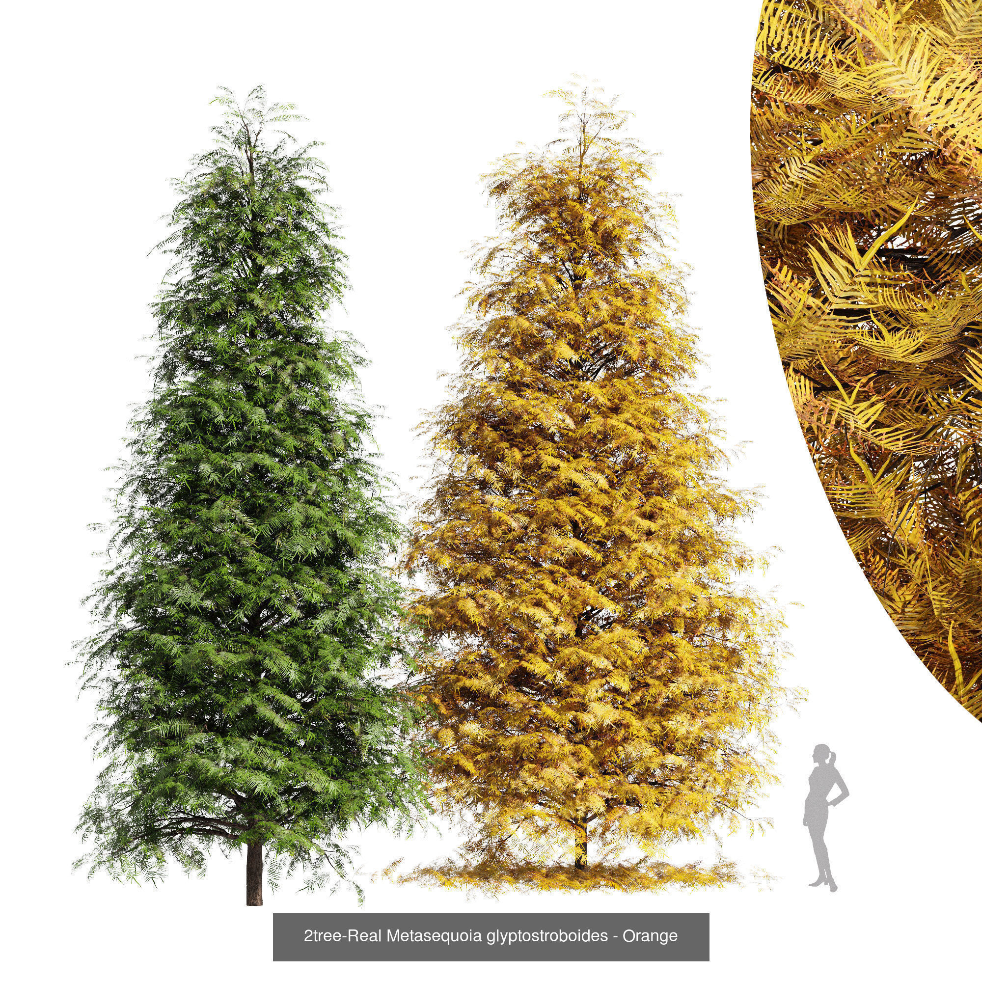 6 Different SETS of Tree SET VOL90 3D Model Collection_7