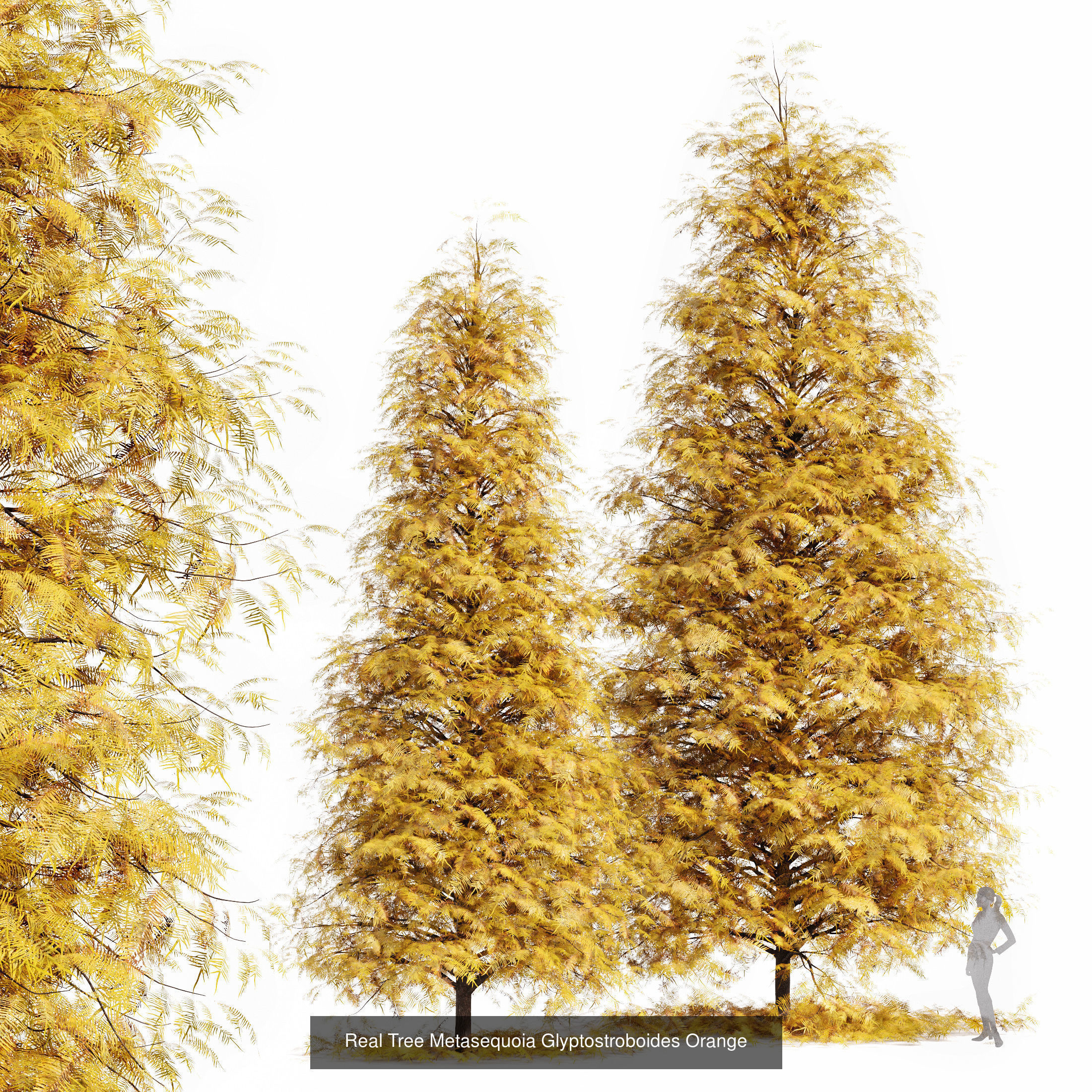 6 Different SETS of Tree SET VOL90 3D Model Collection_4