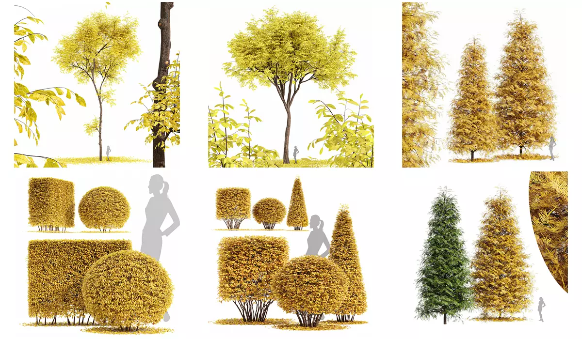 6 Different SETS of Tree SET VOL90 3D Model Collection_0