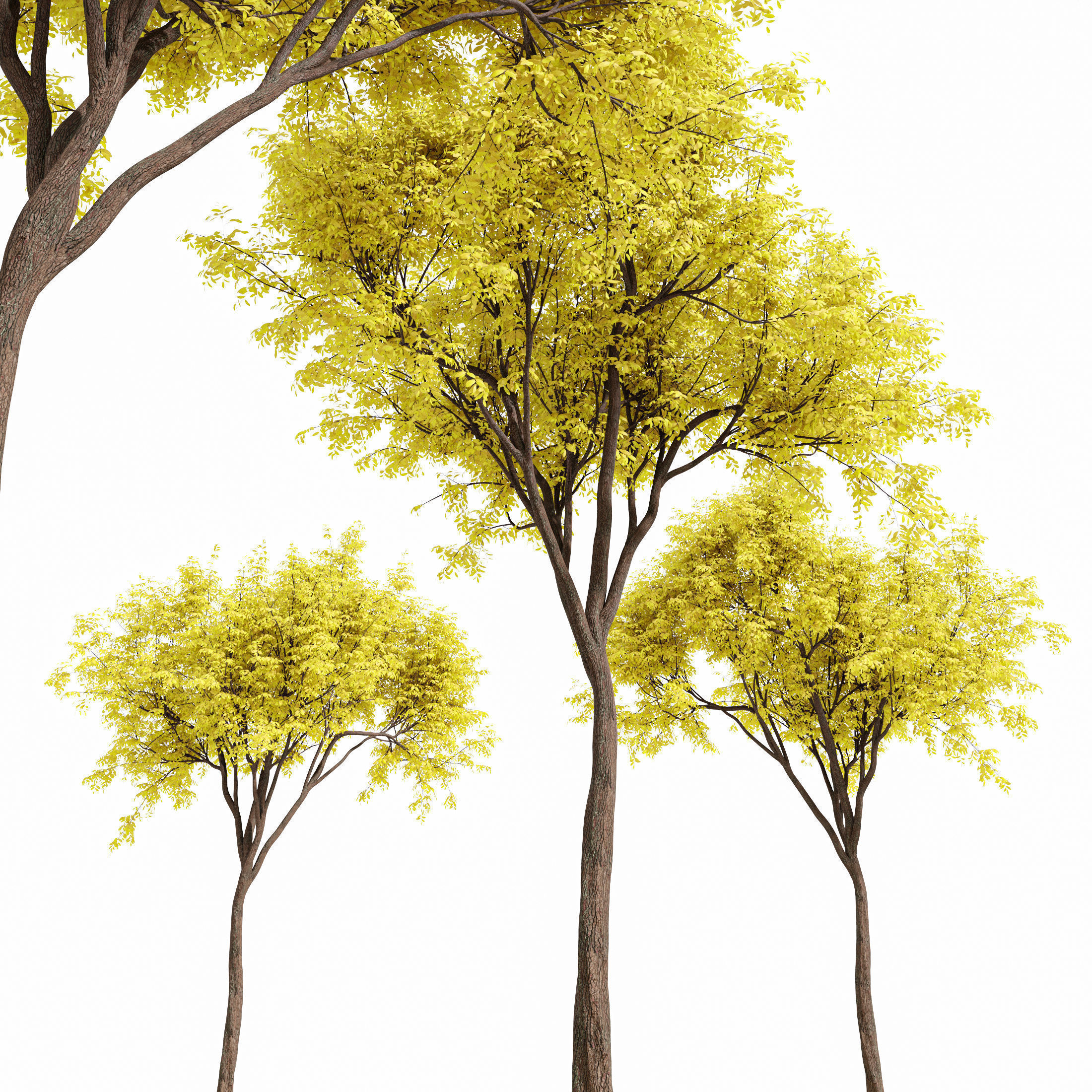 6 Different SETS of Tree SET VOL90 3D Model Collection_10