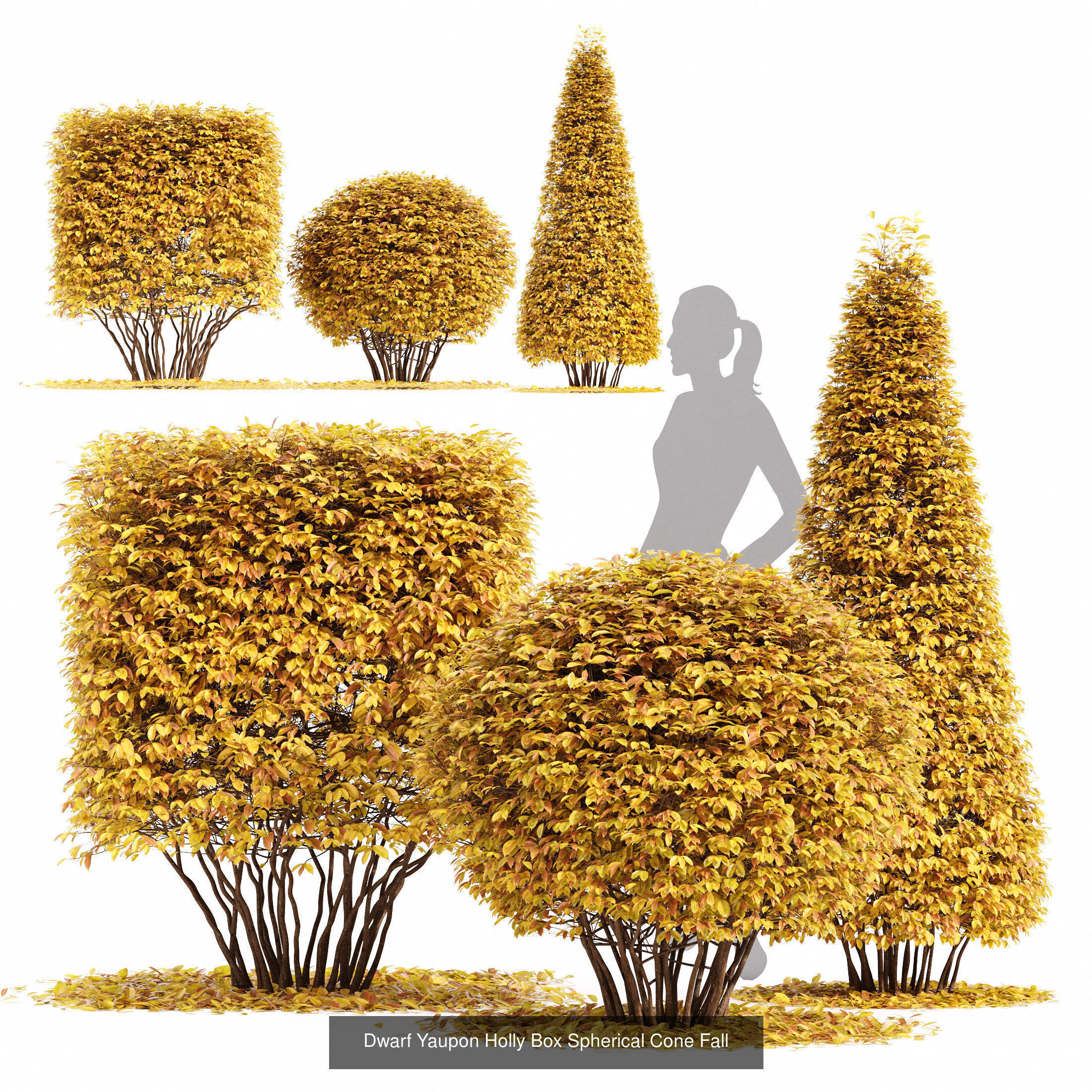 6 Different SETS of Tree SET VOL90 3D Model Collection_5