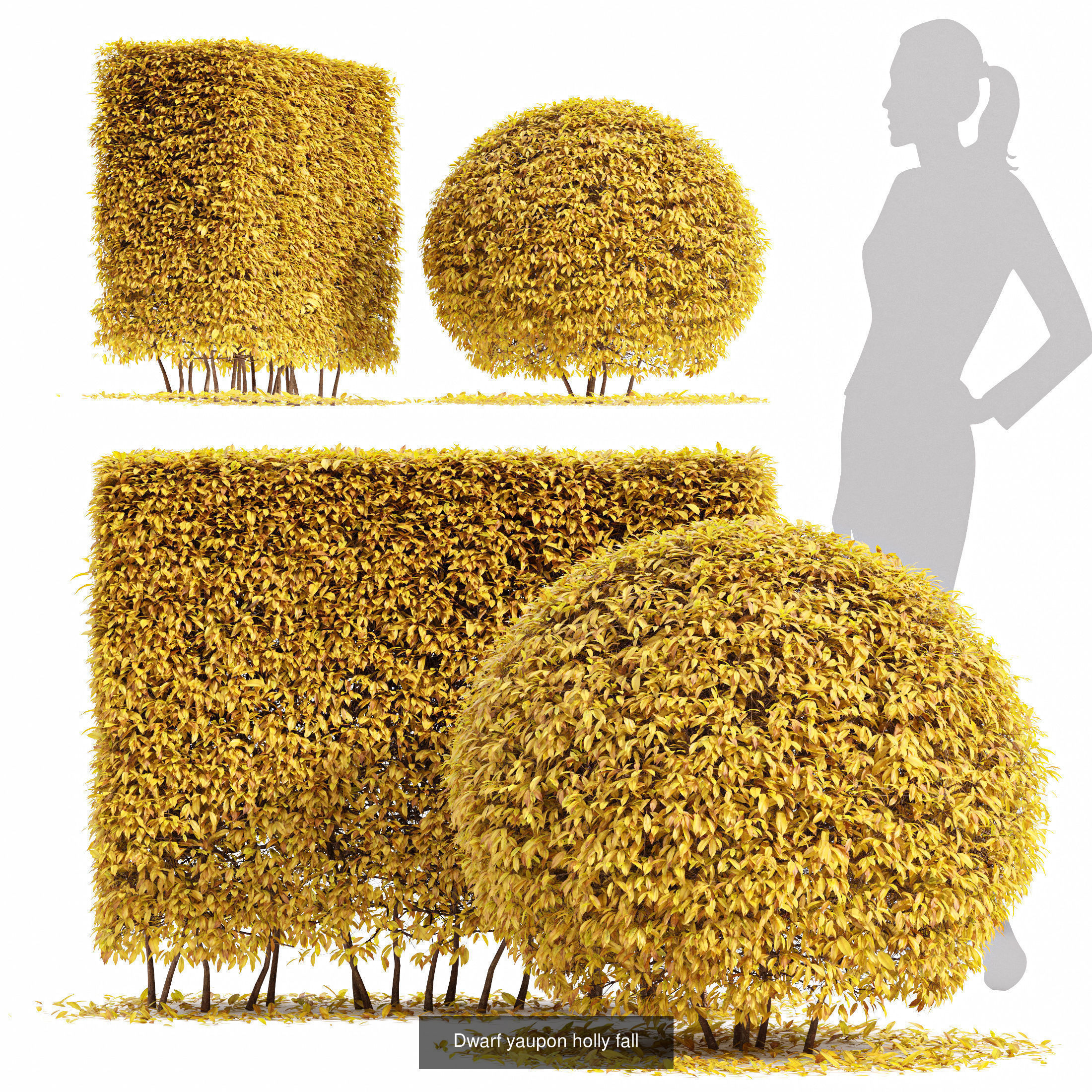 6 Different SETS of Tree SET VOL90 3D Model Collection_6