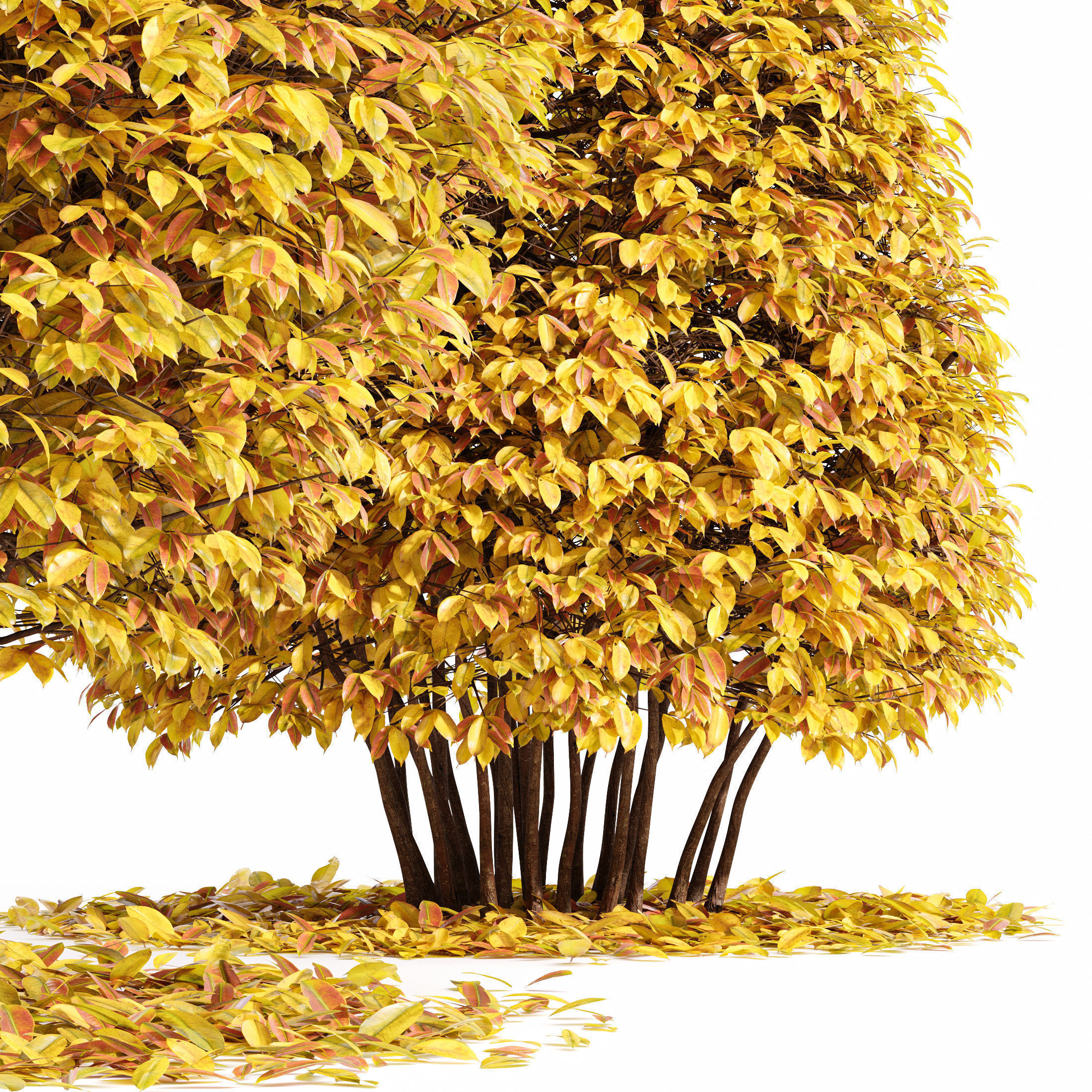 6 Different SETS of Tree SET VOL90 3D Model Collection_12