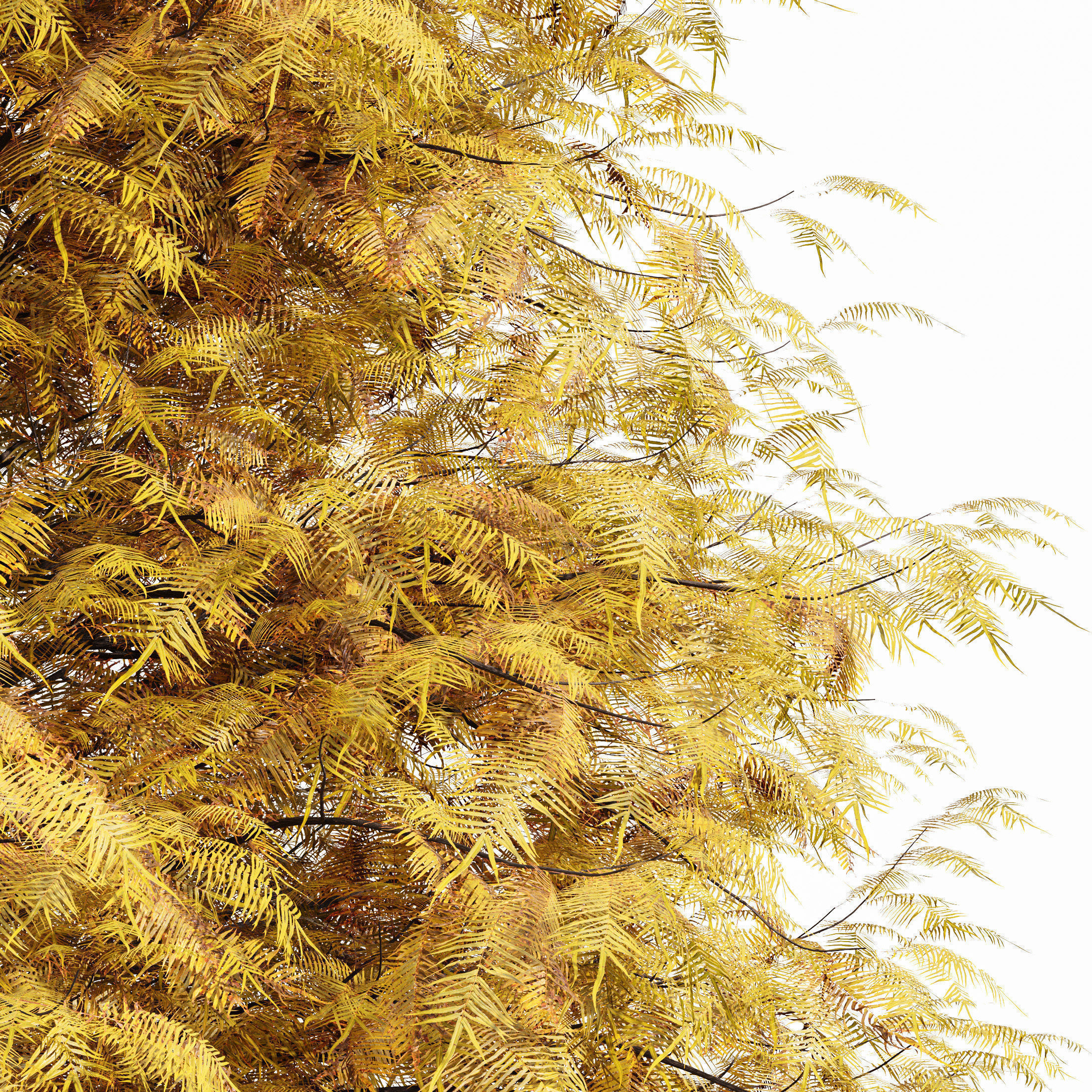 6 Different SETS of Tree SET VOL90 3D Model Collection_17