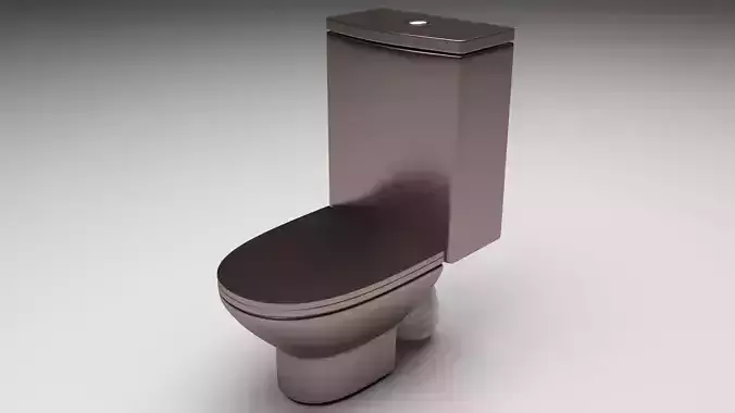 Bronze Toilet