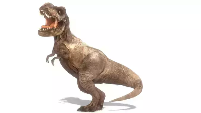 Tyrannosaurus Rex Animated Low-poly 3D model