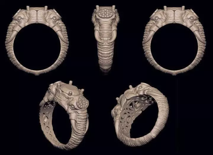 Elephant Ring 3D print model