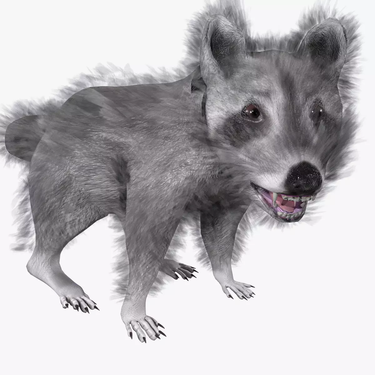 3D model Raccoon Animated Low-poly 3D model