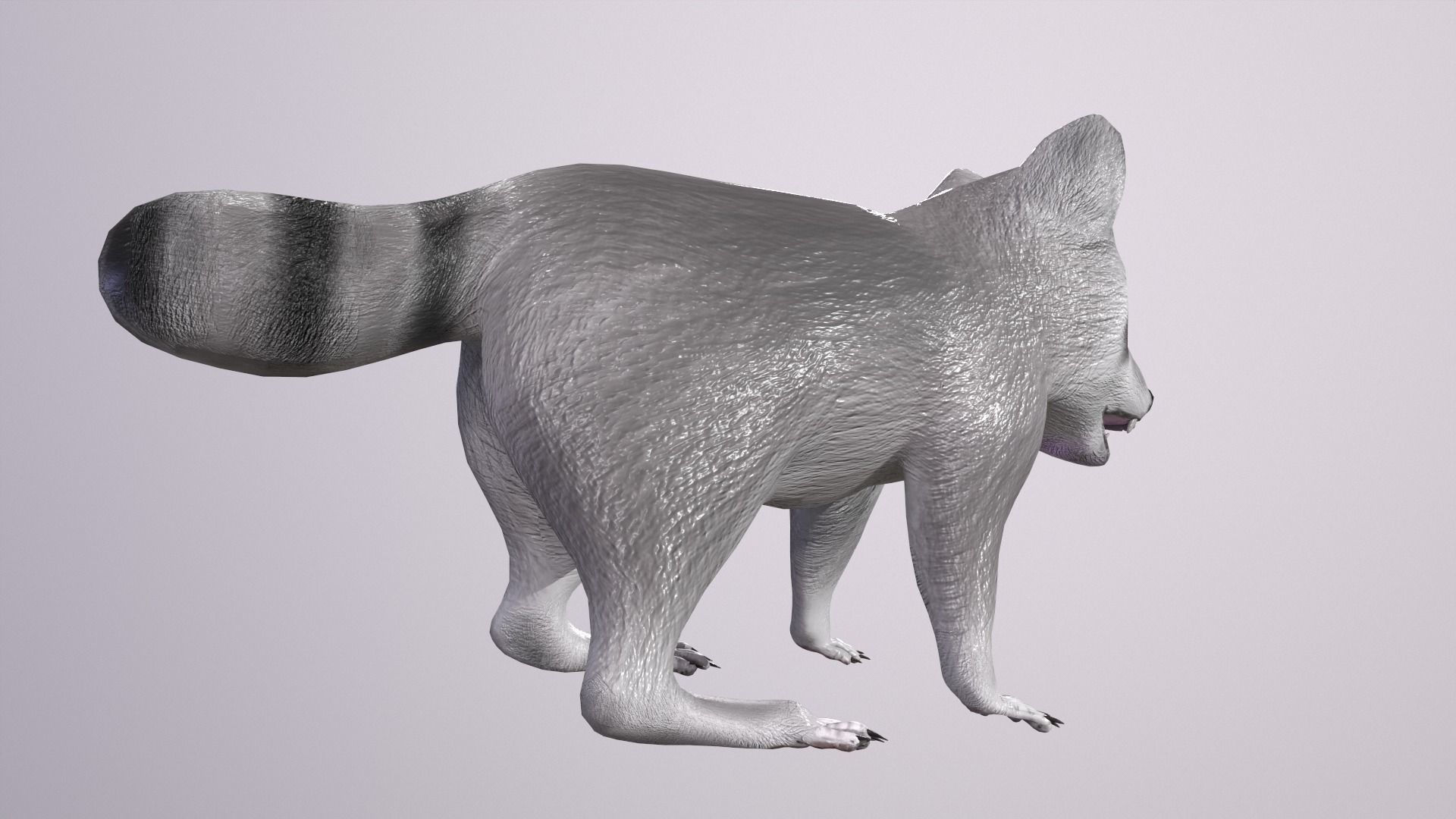 3D model 3D model Raccoon Animated VR / AR / low-poly | CGTrader