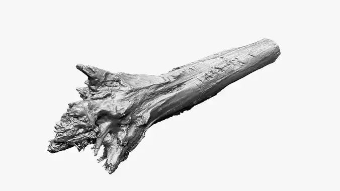 3D Tree trunk Zbrush sculpt