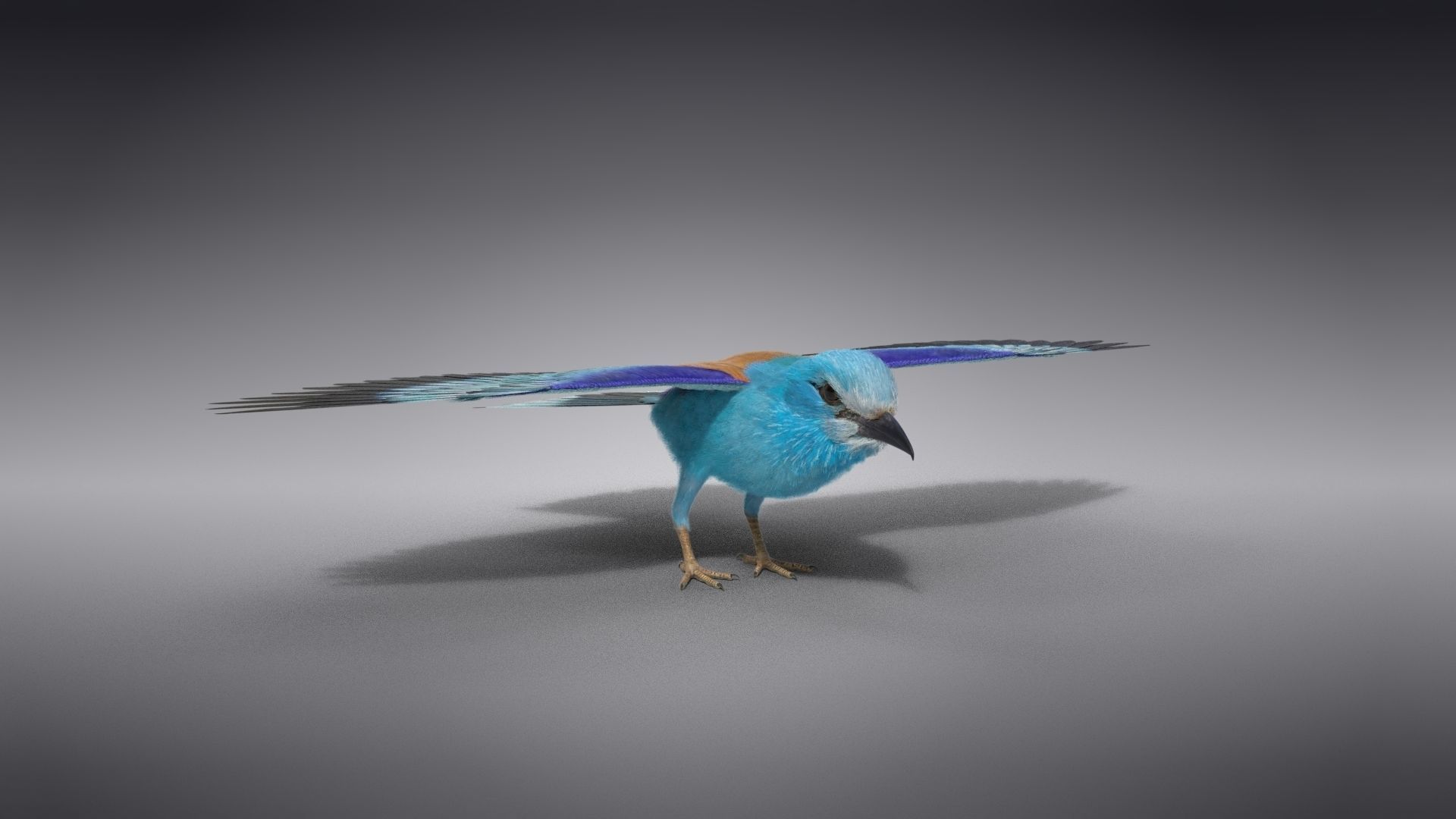 EuropeanRoller VFX Grace  3D model_34
