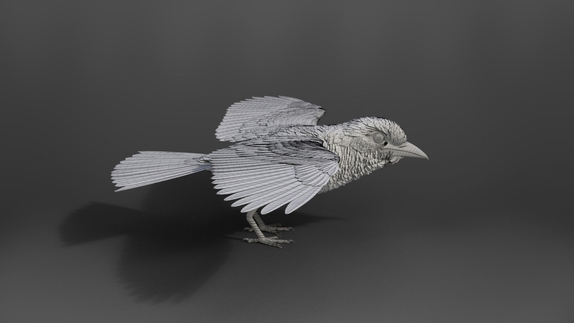 EuropeanRoller VFX Grace  3D model_39