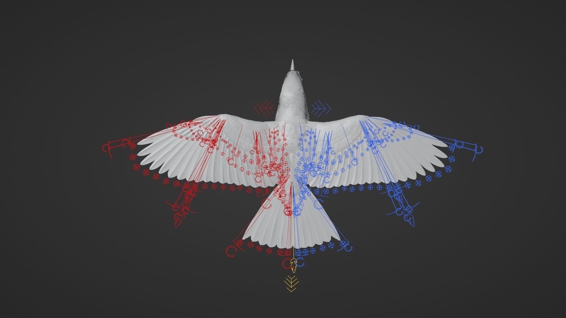 EuropeanRoller VFX Grace  3D model_25