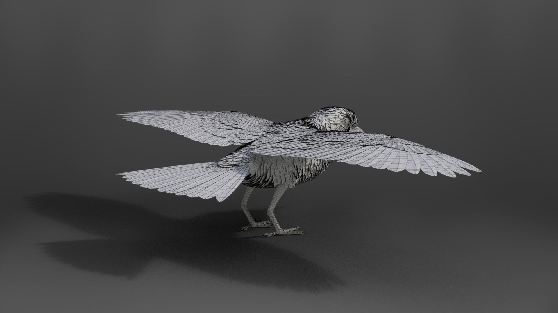 EuropeanRoller VFX Grace  3D model_40