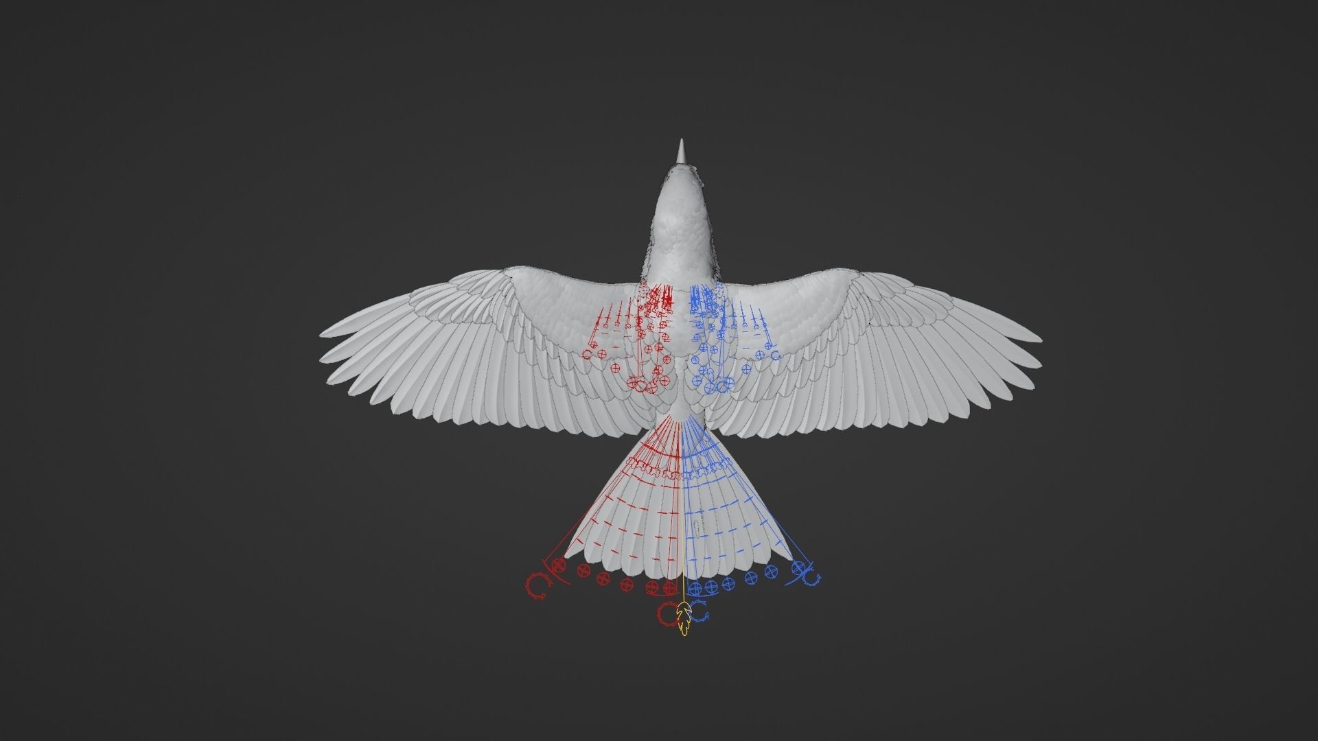 EuropeanRoller VFX Grace  3D model_23