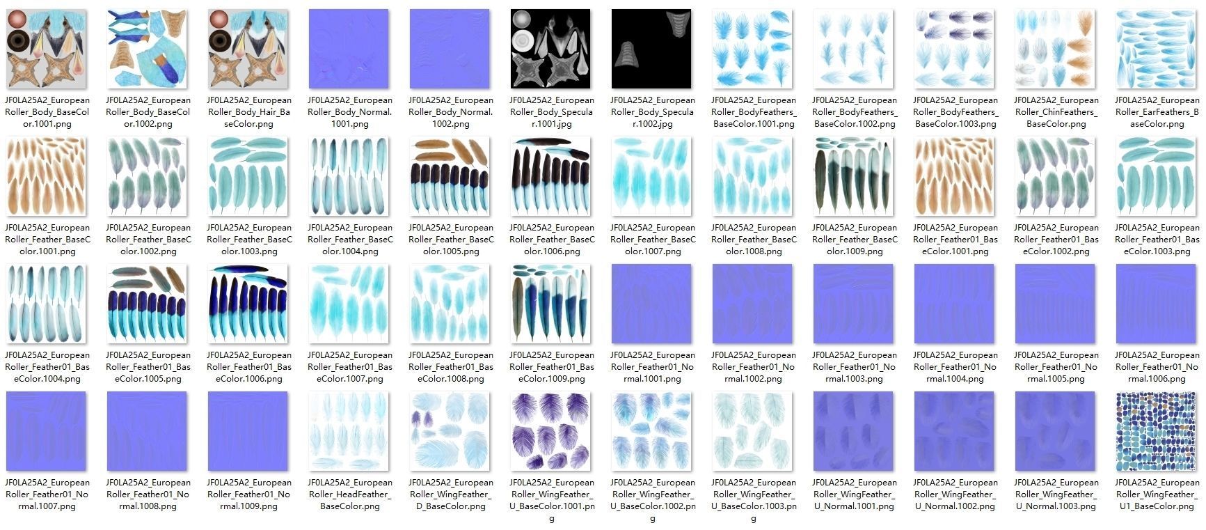 EuropeanRoller VFX Grace  3D model_44