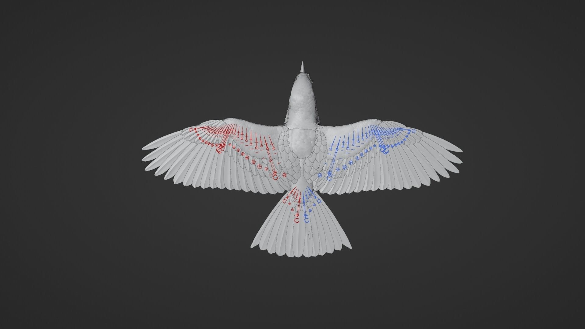 EuropeanRoller VFX Grace  3D model_29