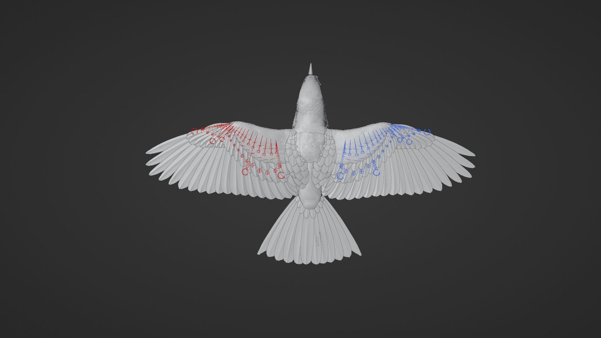 EuropeanRoller VFX Grace  3D model_27