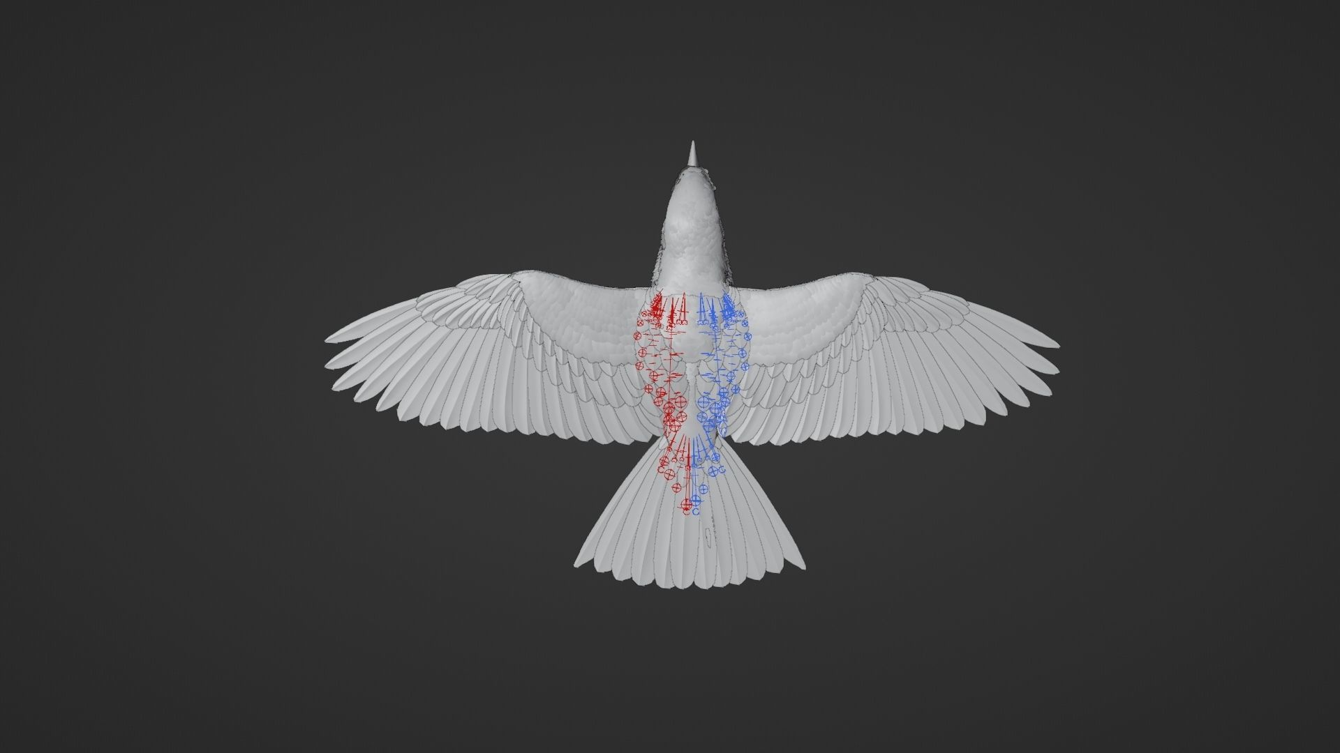 EuropeanRoller VFX Grace  3D model_28