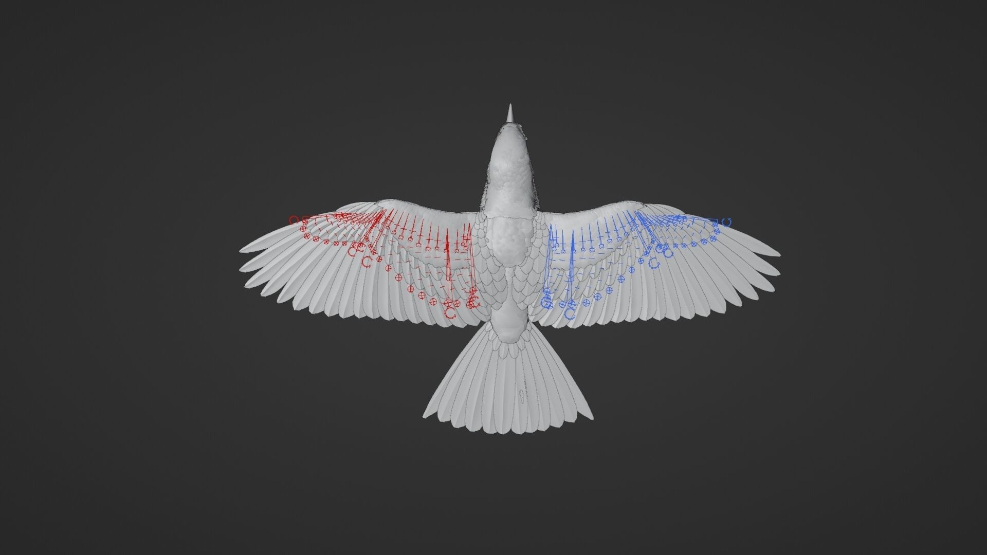 EuropeanRoller VFX Grace  3D model_26