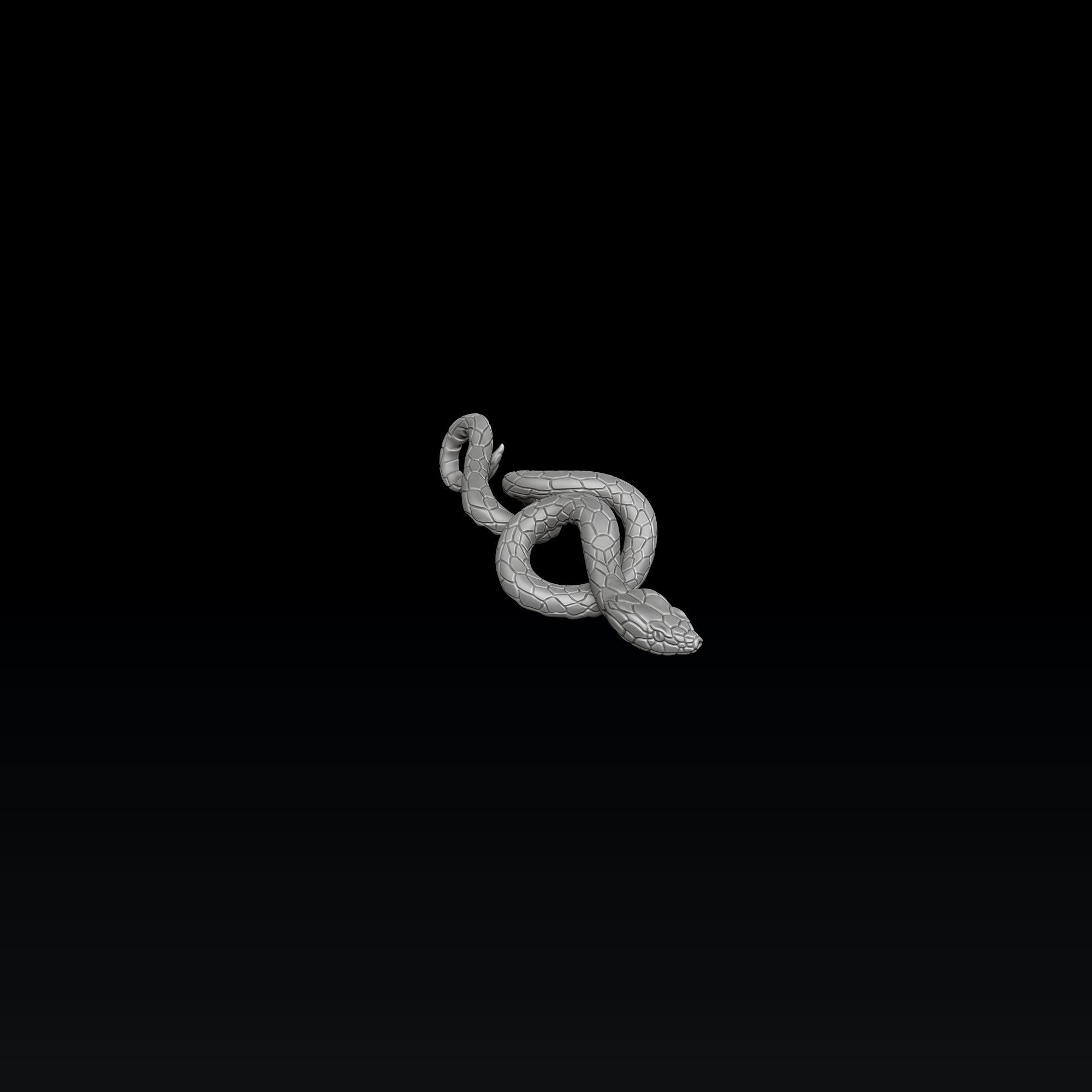 Snake ring pendant set 3D print model_4