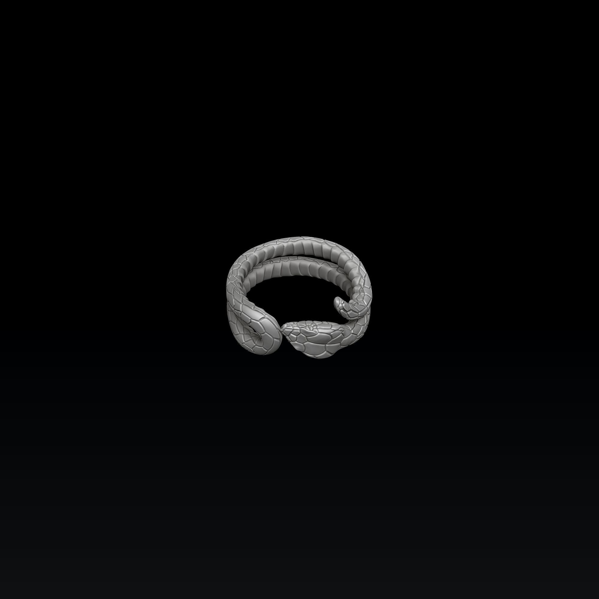 Snake ring pendant set 3D print model_1