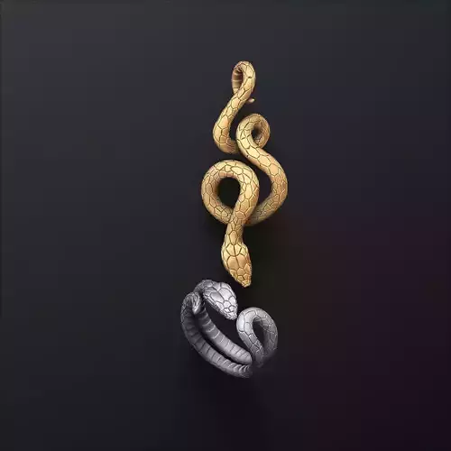 Snake ring pendant set 3D print model