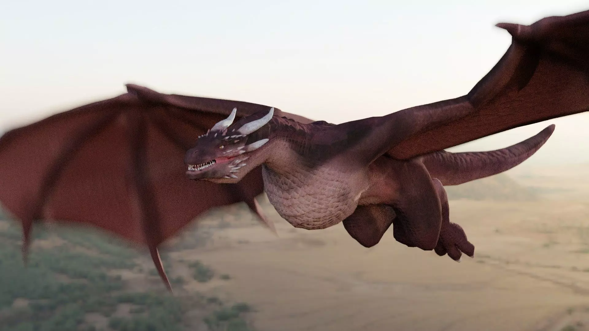 blener dragon 3d model 3D model_0