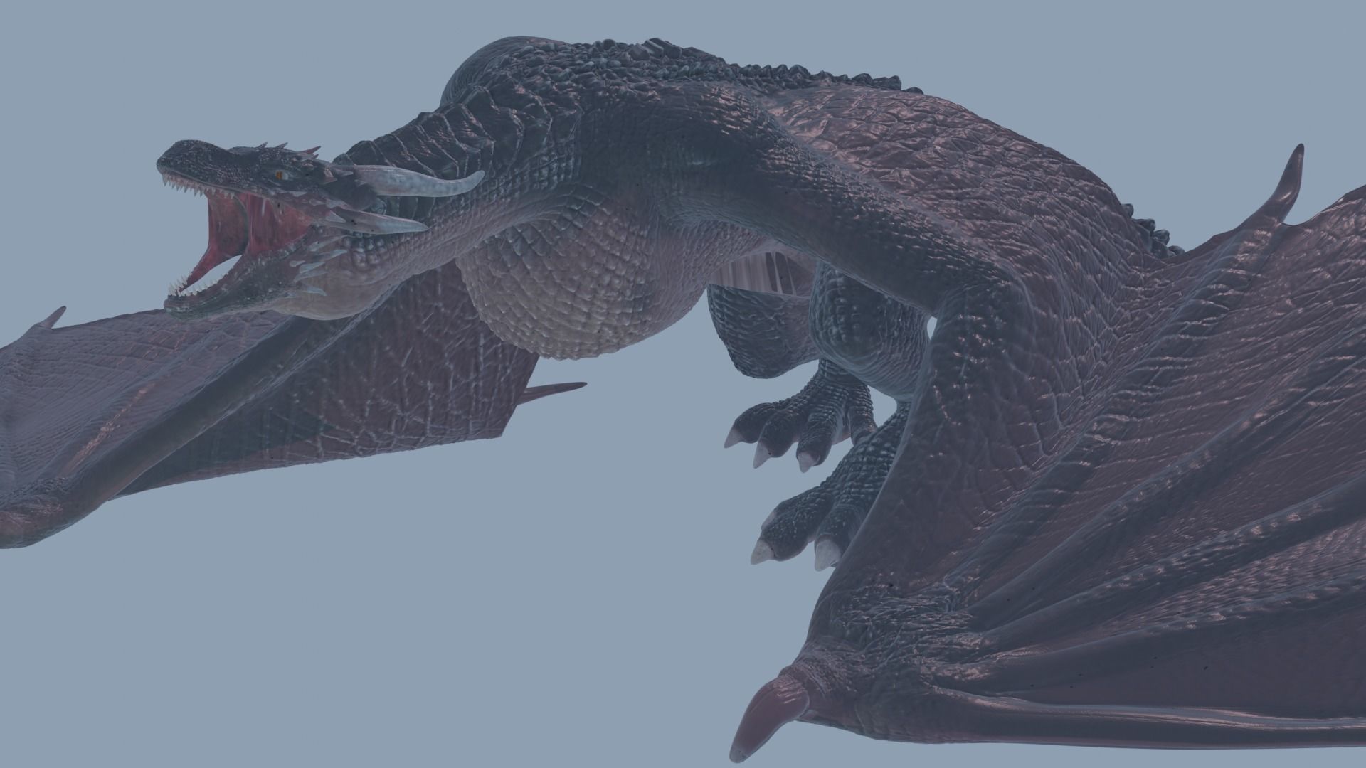 blener dragon 3d model 3D model_22