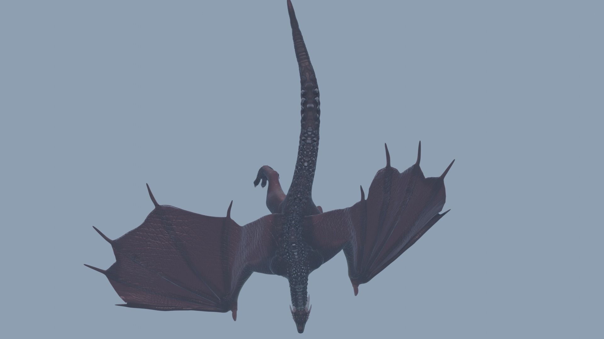 blener dragon 3d model 3D model_4