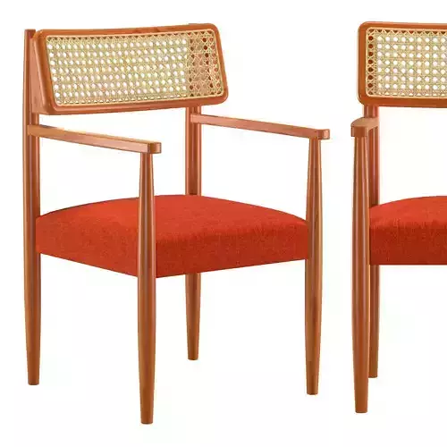 Mid Century Modern Chair