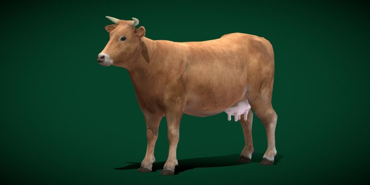 Domestic Cattle Oxen Animals Low-poly 3D model_17