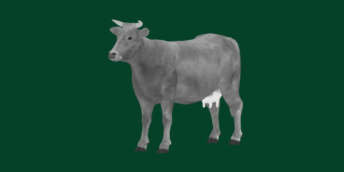 Domestic Cattle Oxen Animals Low-poly 3D model_23