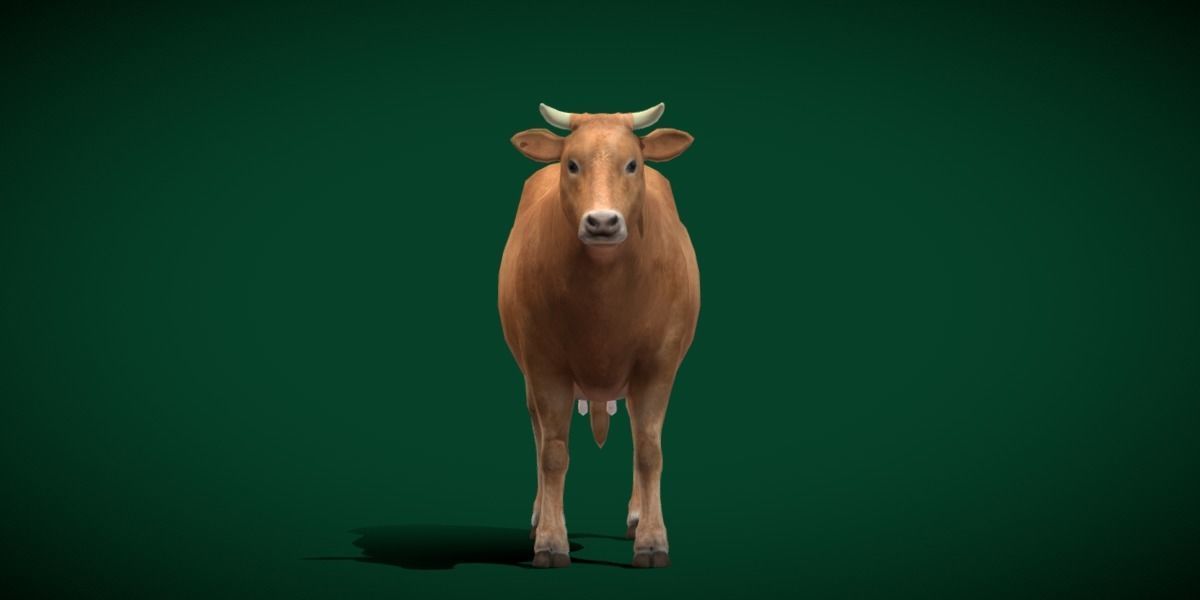 Domestic Cattle Oxen Animals Low-poly 3D model_7