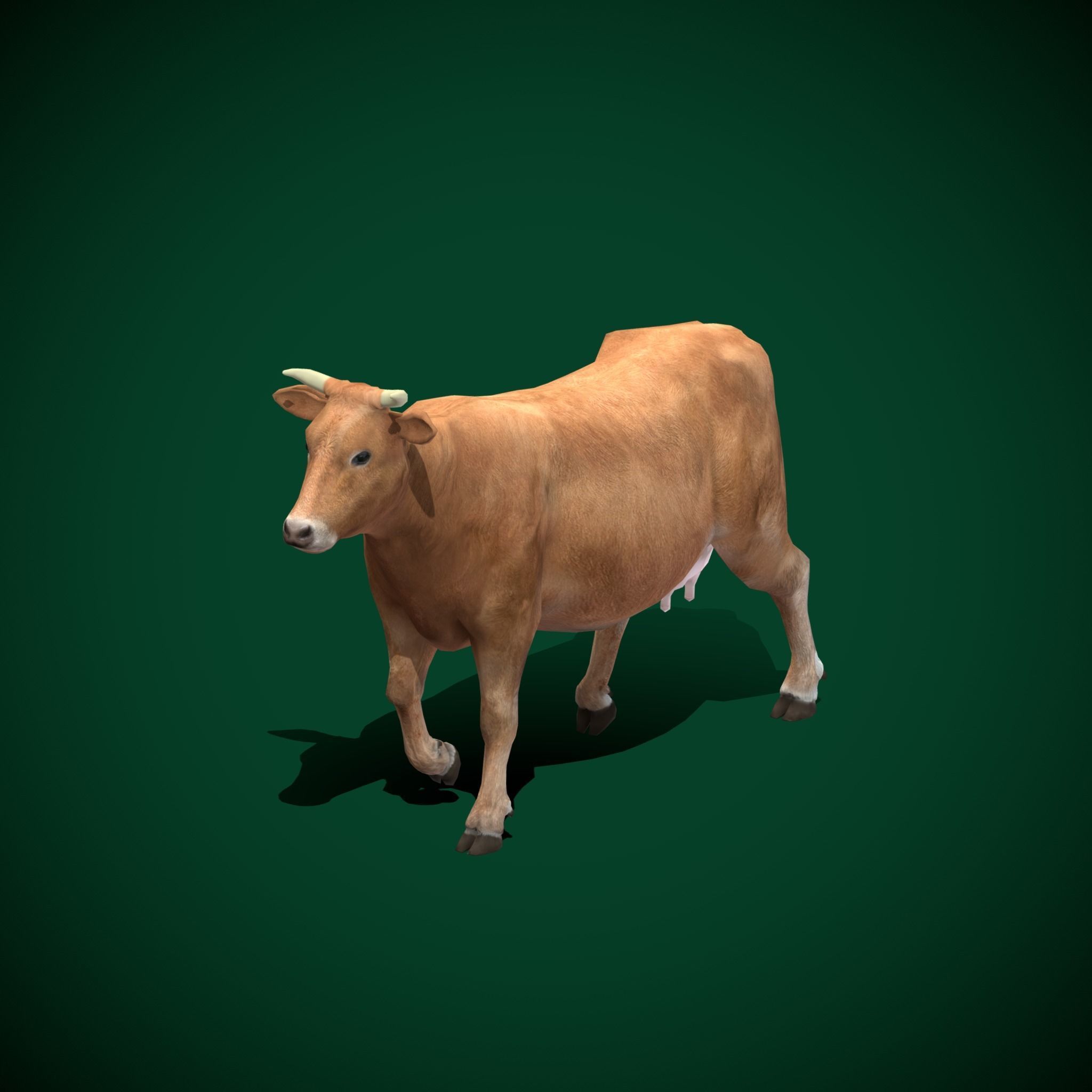 Domestic Cattle Oxen Animals Low-poly 3D model_16