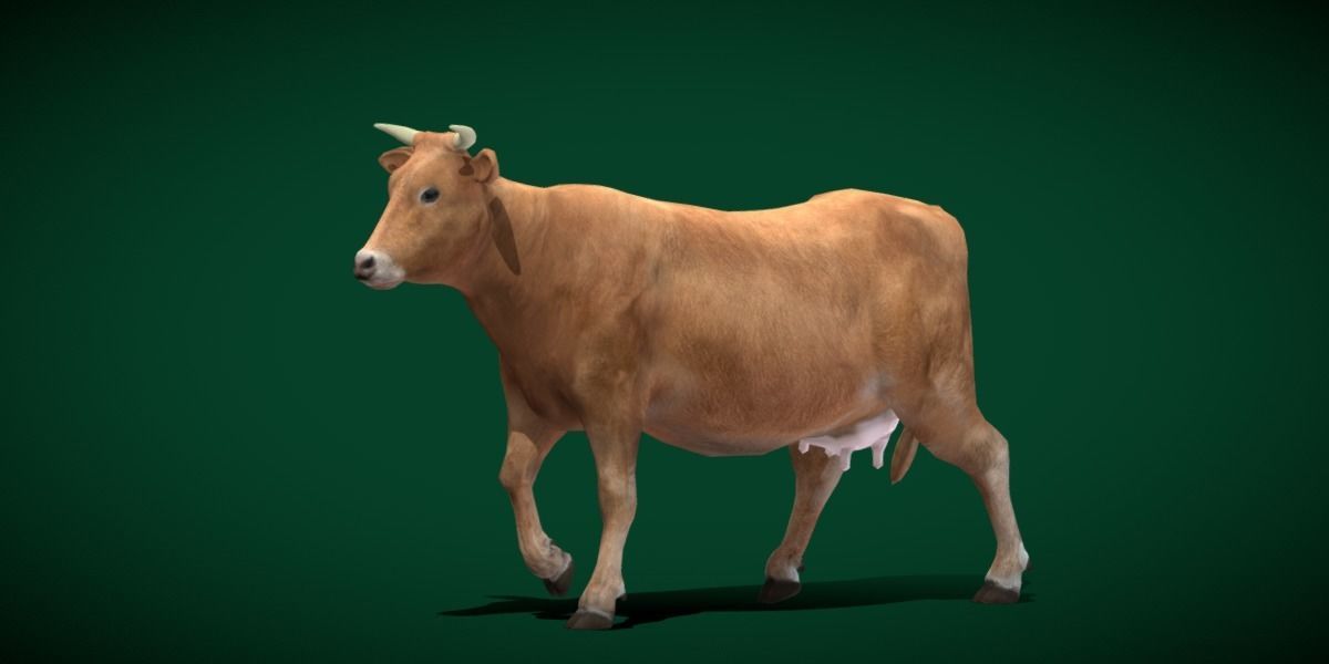 Domestic Cattle Oxen Animals Low-poly 3D model_25