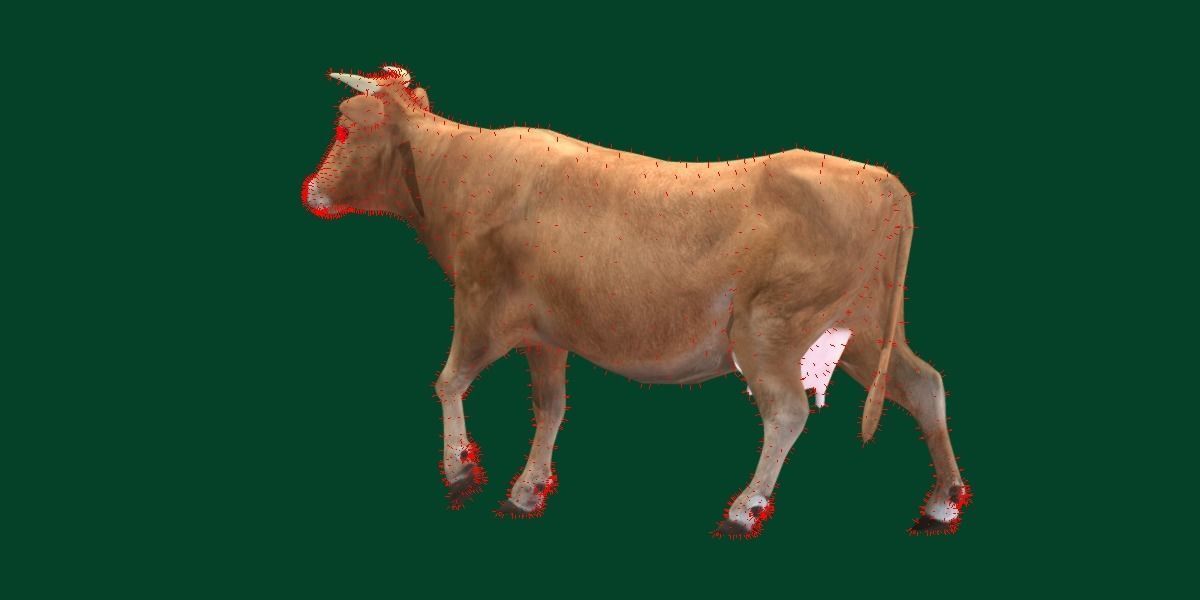 Domestic Cattle Oxen Animals Low-poly 3D model_11