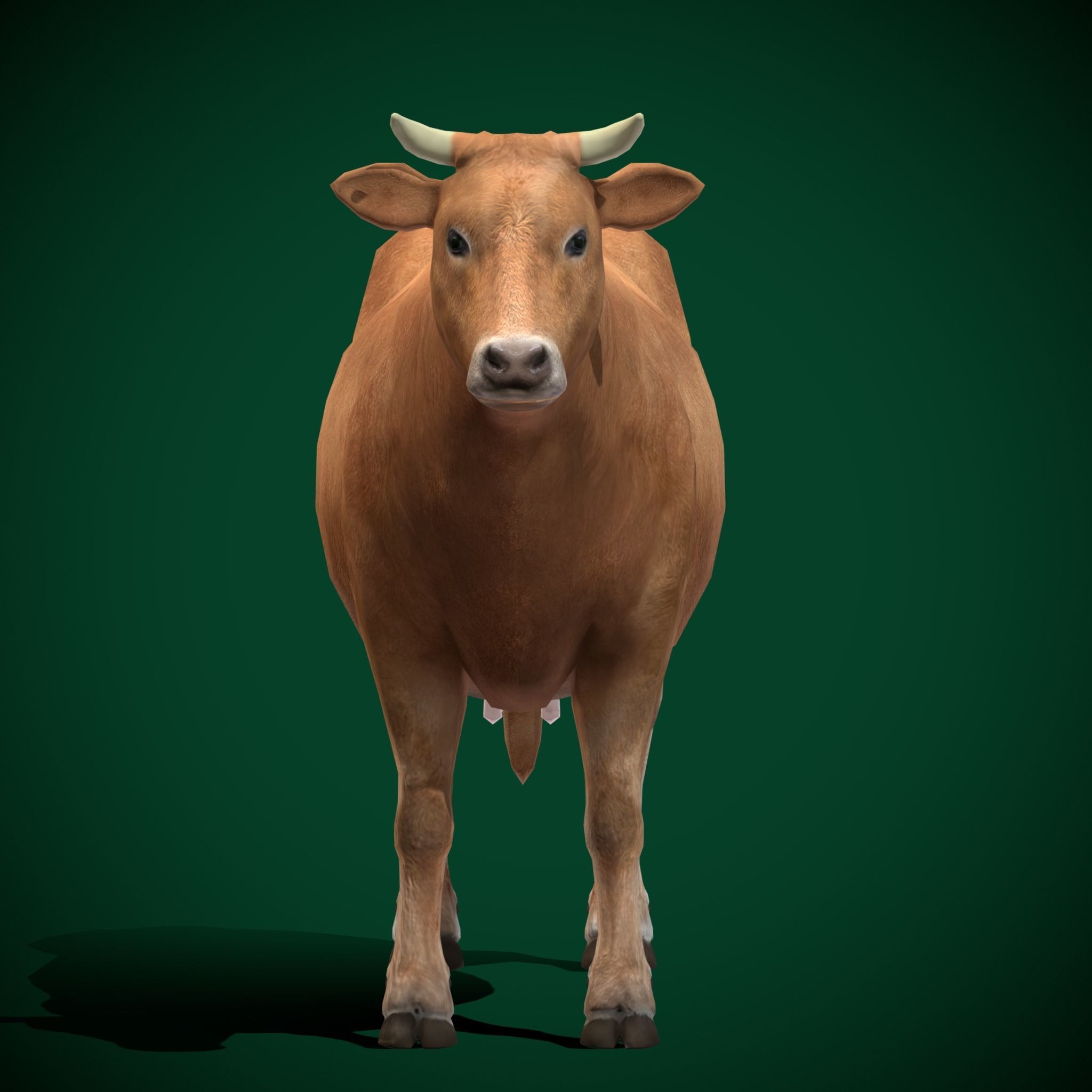 Domestic Cattle Oxen Animals Low-poly 3D model_15