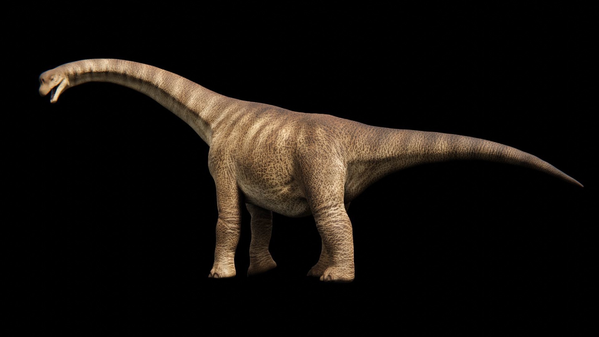Brachiosaurus Sauropod Dinosaur Low-poly 3D model_5